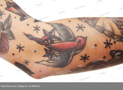 иллюстрация крыльев в стиле татуировки на белом фоне PNG , крылья,  марочный, пух Перо PNG картинки и пнг рисунок для бесплатной загрузки