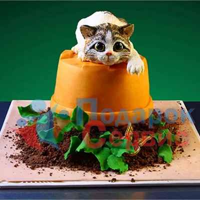 Торт на День Рождения №1 | Заказ, доставка в Москве