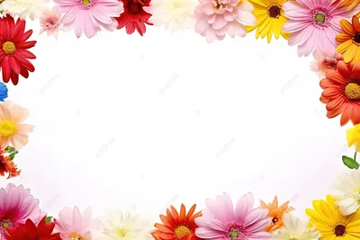 Фотообои - Букет цветов на белом фоне. Артикул 10007191.