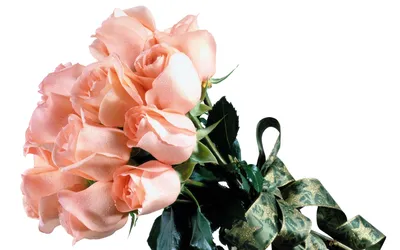 Красивые розовые цветы на белом фоне :: Стоковая фотография :: Pixel-Shot  Studio