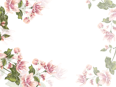 Состав цветов на белом фоне Стоковое Фото - изображение насчитывающей  подарок, конструкция: 213905456