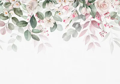 букет цветов на белом фоне Stock Photo | Adobe Stock