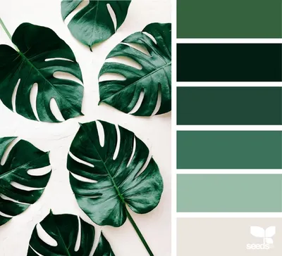 Красивые сочетания цветов в зеленых тонах 4 | Green colour palette, Color  schemes design, Design seeds