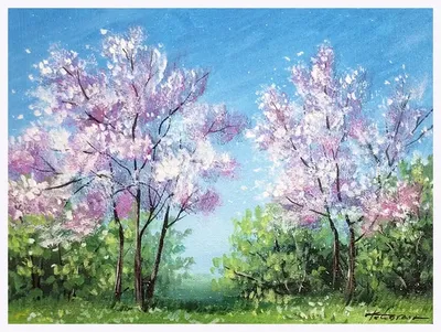 Весенние цветение вишни. Цветущая вишня. Весенние настроение. Вишневые  деревья. Цветы вишни. foto de Stock | Adobe Stock