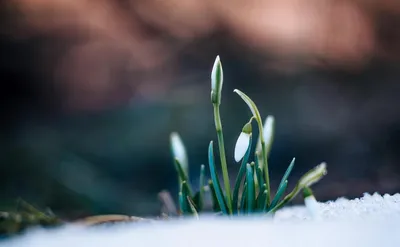 POV: весна в России 🤪 🎬: @fishermore.tv | Instagram