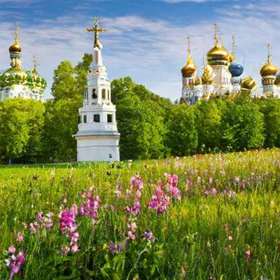 Весна в России: куда отправиться за самым красивым цветением природы | СДЭК  | Дзен