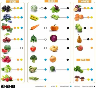 Витамины овощи и фрукты картинки для детей - 30 фото