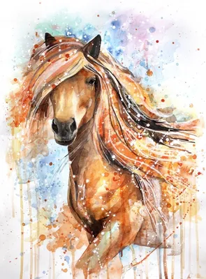 Иллюстрация волшебных острословий принцессы катание шпаги на лошади  Иллюстрация вектора - иллюстрации насчитывающей волшебство, людск: 70181400