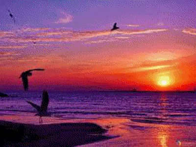 Восход солнца над морем стоковое фото ©Serg64 163110796