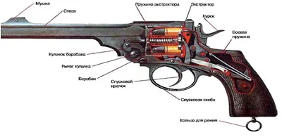 Виды огнестрельного оружия - Бизнес новости Новошахтинска