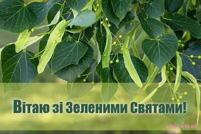 Трійця 2023: привітання з Зеленими святами в яскравих картинках. Читайте на  UKR.NET