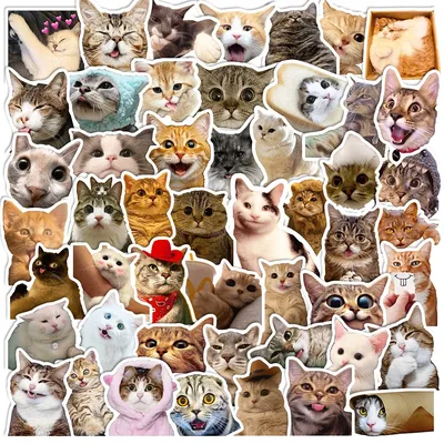 Смешные кошки - онлайн-пазл