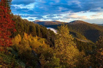 10 заповедников и национальных парков России, в которых надо побывать