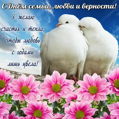 Orekhovaya_sopka_khv - Семья — наша крепость, опора, уют, И пусть там  любовь и счастье живут. Пусть ваша семья цветёт и крепчает, И нежность с  теплом Вас не покидают. Мы верность желаем Вам