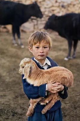 Люди и животные: 50 потрясающих фотографий Стива МакКарри