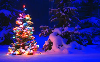 Фото обои зима, снег, елка, шар, Новый год | Рождественские идеи, Новый год,  Обои