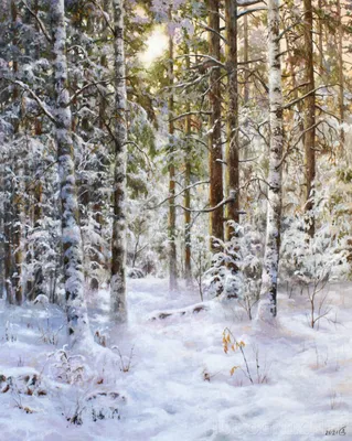 Зима в лесу в Лихтенштейне 1922021 Стоковое Фото - изображение  насчитывающей мирно, идиллично: 214634290