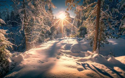 Дом зимой в лесу рисунок - 72 фото