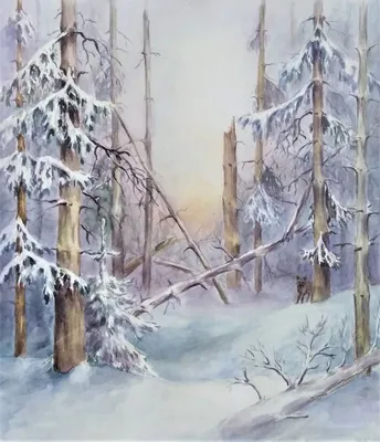 Зима в лесу. Фотограф Иван