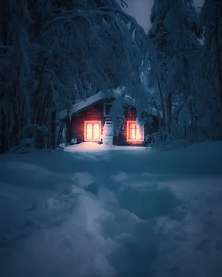 Костер в лесу ночью зимой - 75 фото