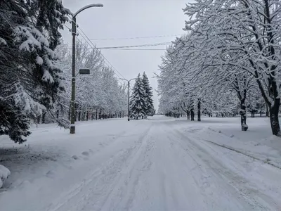 Новосибирск завалило снегом: 10 фото зимнего города - sib.fm