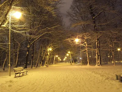 Парк Зима Ночь - Бесплатное фото на Pixabay - Pixabay