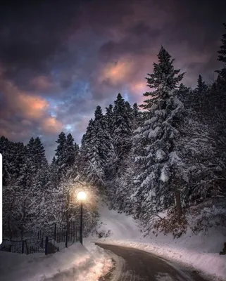 зима; снег; эстетика; ночь | Пейзажи, Зимние картинки, Зима