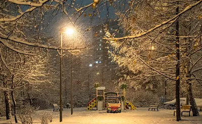 Красивая зимняя ночь (91 фото) - 91 фото