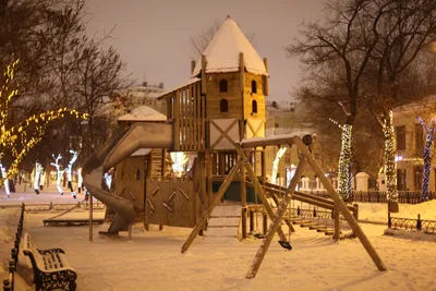 Зима ночь лес Луна (Множество фото) - treepics.ru
