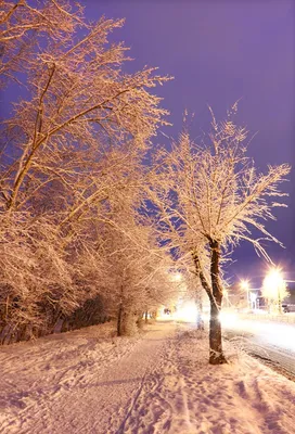 В Москве прошедшая ночь стала самой теплой с начала зимы — РБК