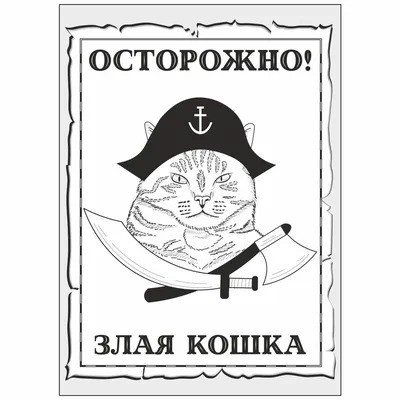 В Пирита злая кошка нападает на гуляющих собак - Delfi RUS