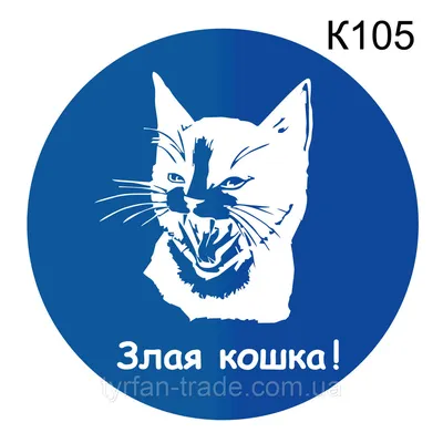 Табличка, осторожно злая кошка, прикол,18см х 25см, на дверь, на забор, 25  см, 18 см - купить в интернет-магазине OZON по выгодной цене (1250666352)