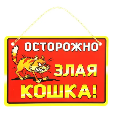 Осторожно! Злая кошка. :: Дмитрий Костоусов – Социальная сеть ФотоКто
