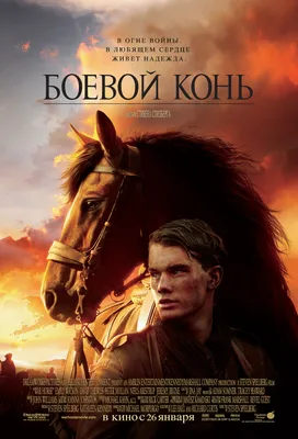 лошади #лошадь #кони #украина #фото #фотосессия | Instagram