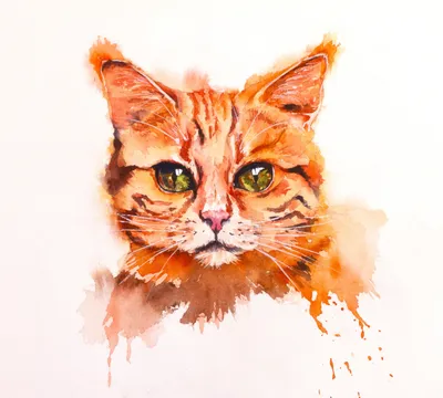 Мультяшная красивая милая кошка с …» — создано в Шедевруме