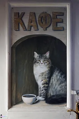 Фото кот животное Рисованные