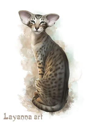 Картинка коты Животные Рисованные