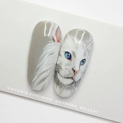 Кошка на ногтях в 2023 г | Ногти, Дизайн ногтей, Маникюр
