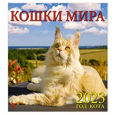 Генетика окрасов кошек для чайников - Мейн-кун котята, коты, кошки в  Ярославле. Питомник мейн-кунов King Size Ярославль