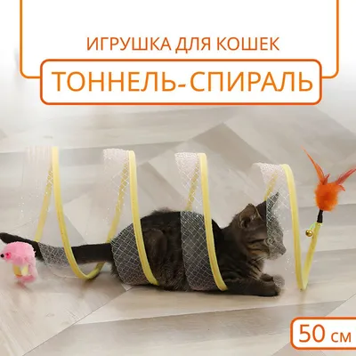 Зачем кошки и коты едят траву - Кошки обзор на Gomeovet