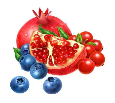 обои : Красочный, кружка, Пища, фрукты, ягоды 1920x1280 - WallpaperManiac -  1840197 - красивые картинки - WallHere