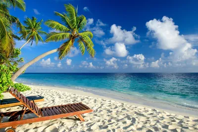 Скачать обои море, пляж, тропики, пальмы, отдых, раздел природа в  разрешении 2156x1440 | Тропический пляж, Курорты с пляжами, Пляж