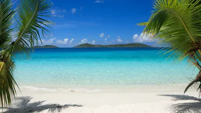 Картинки море пальмы пляж красивые (69 фото) » Картинки и статусы про  окружающий мир вокруг