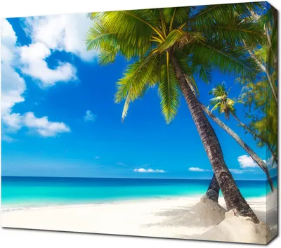 Картина на холсте Красивые пальмы на белом песчаном пляже: - Арт. 140110 |  Купить в интернет-магазине - Уютная стена