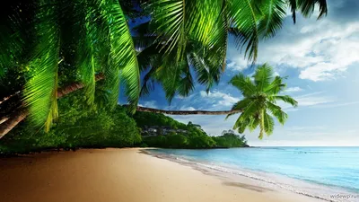 Скачать обои песок, море, пляж, небо, облака, пальмы, раздел пейзажи в  разрешении 1920x1200