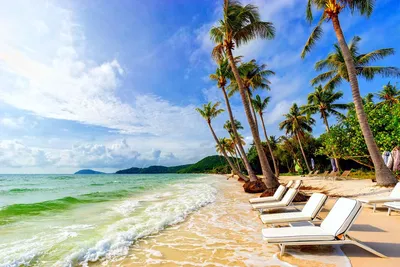 Обои фото Океан Пейзаж Большие пальмы 368x254 см 3Д Солнечный морской пляж  (736P8)+клей купить по цене 1200,00 грн