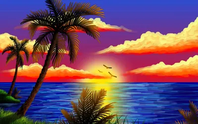 Обои Палм-Бич, пляж, море, тропическая зона, водоем на телефон Android,  1080x1920 картинки и фото бесплатно