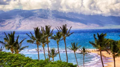 Фото море пляж пальмы в хорошем качестве (70 фото) »