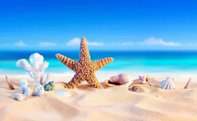 Обои Красивые тропические пейзажи, пальмы, пляж, море, солнце 2560x1600 HD  Изображение