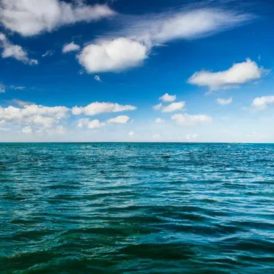Красивая Девушка Море Женщина Входит Море Голубой Океан Девушка Белом  стоковое фото ©redjy_r 666558022